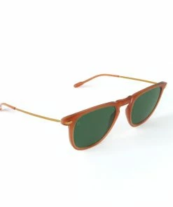 Nooz Honey Dino Sunglasses