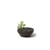 Lindform Straw Vase | Medium Black