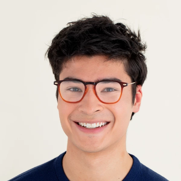 Nooz Blue Light Glasses +1 Bronze Tortoise Dino With Case Nooz 6 Nooz Blue Light Glasses +1 Bronze Tortoise Dino With Case Nooz