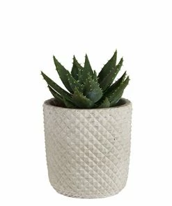 Affari Otto Planters 15cm