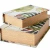 Affari Medium Monstera Secret Book Box 1 Affari Medium Monstera Secret Book Box