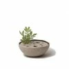 Lindform Straw Ikebana Vase Tea Light Holder In Medium Sand Large 2 Lindform Straw Ikebana Vase Tea Light Holder In Medium Sand Large