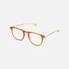 Nooz Reading Glasses +2 Honey Dino Essentials