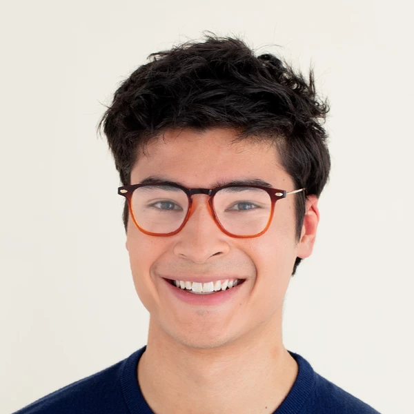 Nooz Reading Glasses +1 Tortoise Bronze Dino With Case Nooz 6 Nooz Reading Glasses +1 Tortoise Bronze Dino With Case Nooz