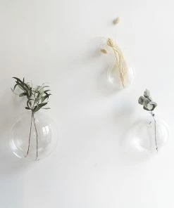 Affari 3 Glass Wall Flowerpot Pampas Grass