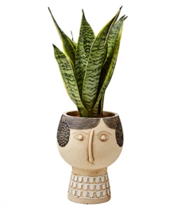 Affari Medium Camille Face Flower Pot