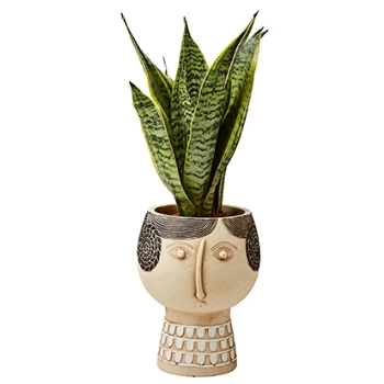 Affari Medium Camille Face Flower Pot 4 Affari Medium Camille Face Flower Pot