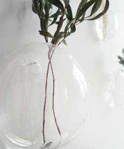 Affari 3 Glass Wall Flowerpot Pampas Grass